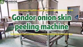 🎥 Boost Productivity with Gondor’s Industrial Onion Peeling and Cutting Machine #fruitprocessing