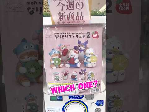 🩷Latest Sanrio Hello Kitty Mofusand? Kuromi? Melody? PC Duck? Hangyodon? Japan