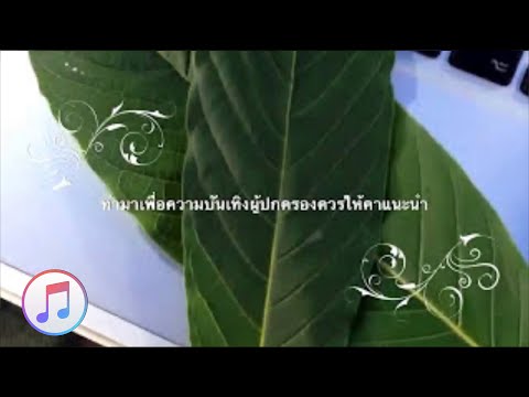 มหาลัยน้ำท่อม โดย ก้านแดง หางกั้ง