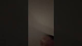 BBs song