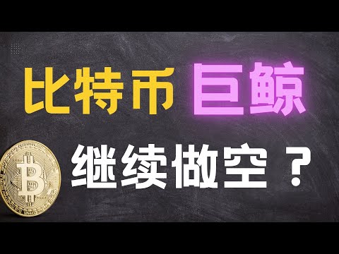 10.11砸盘巨鲸继续做空？三大嫌疑人曝光？如何追踪鲸鱼钱包！