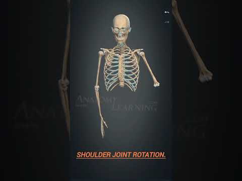 Rotation of the vertebral column and shoulder joints #3d #medicosphere #anatomy #movement#rotation .
