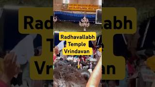 Radhavallabh Temple Vrindavan #radhavallabh #shorts #vrindavan #radhavallabhji #krishna