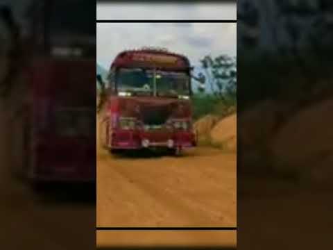 දූවිලි නාග ගෙන හැටි දම් රැජිනhttps://www.youtube.com/@sajan-o2r