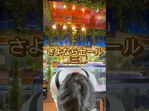 さよならセール第三弾！今回はいっぱいあります。価格はホームページに掲載しています。今後の保護施設資金になるので皆様是非ご協力お願いします！#金魚#閉店#長野県