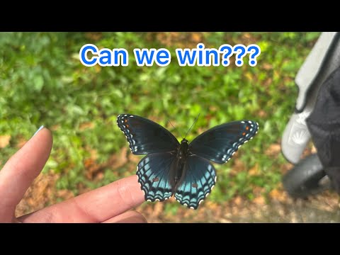 Taylor county tournament + vlog