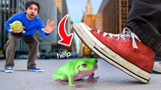 I LOST My Pet FROG in NEW YORK CITY... (IT WAS SAD)