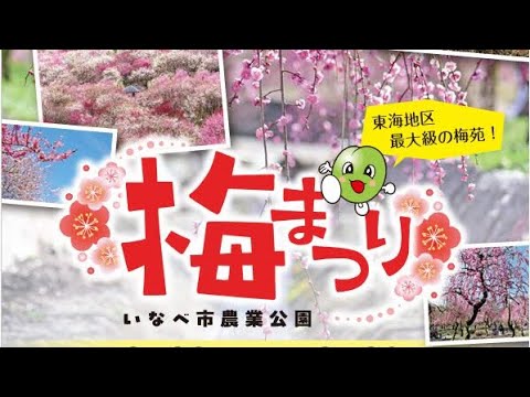 梅まつり 三重県いなべ市農業公園