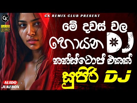 2025 New Sinhala Songs Dj Remix | DJ REMIX Official Music Video || #video #visualizer ||@ckremixclub