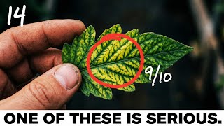 14 Soil Minerals Ranked From Harmless to Critical (Studies Confirmed)