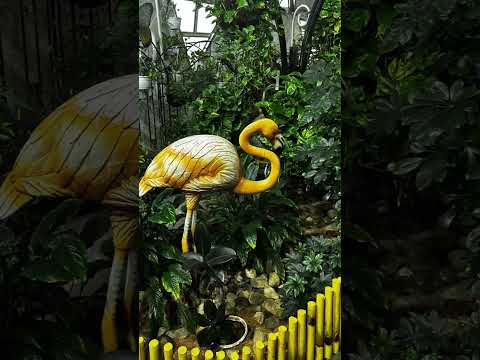 Dubai Butterfly Garden | दुबई बटरफ्लाई गार्डन  | #youtubeshorts
