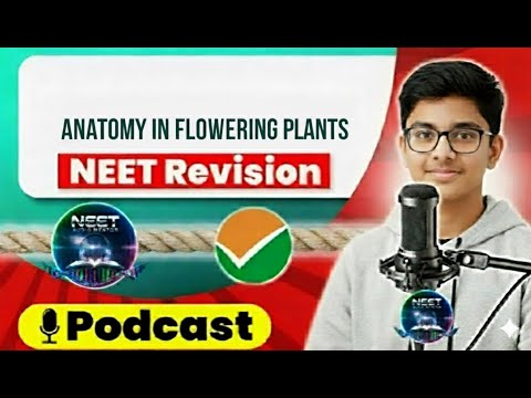 Anatomy of Flowering Plants in 18 Minutes| Quick Revision Podcast | Class 11 NEET
