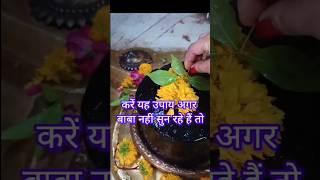 बेलपत्र का उपाय अगर बाबा नहीं सुन रहे हैं ‌ #pandit_pradeep_ji_mishra #upay #shorts #shiv @sairadha