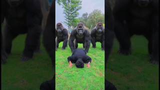 Gorilla ka  Hamla or Allah ki madad #viralvideo #trending #100kview #vip #vfx #vfxmahjabeen #shorts