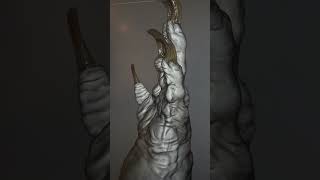 #3dart #conceptart #artemshapiro #art #creaturedesign #blender #metadumplings #furry #meme