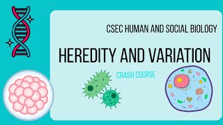 HEREDITY AND VARIATION- CSEC HUMAN AND SOCIAL BIOLOGY CRASH COURSE