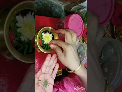 Jinka vivah nahi ho raha ho#is din shiv ko jal chadhaye #shreya#video