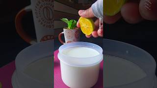 Tried Viral hack of making curd from lemon #shorts #viralvideo #viralshort #ytshort #yogurt #hack