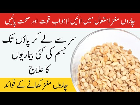 Char Magaz Ke Fayde | Char Magaz Istemal Karne Ka Tarika | Char Magaz Benefits