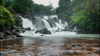 Maredumilli Trip Vlog | Waterfall Disappointment but Found Hidden Nature Paradise 🌿