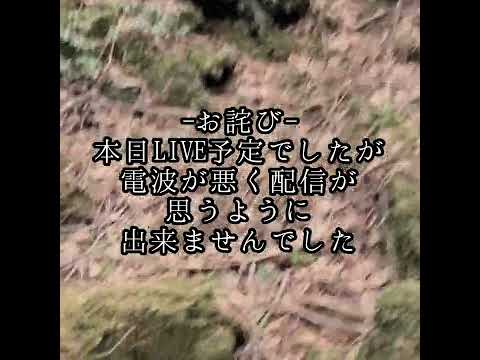 【⚠️閲覧注意！！⚠️】富士の樹海の落とし物