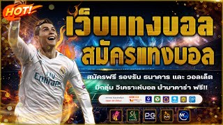 เว็บแทงบอลที่ดีที่สุด | สมัครแทงบอล ไม่มีขั้นต่ำ!
