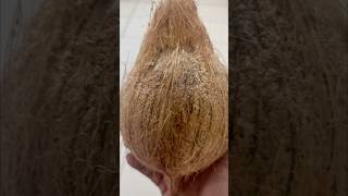 🥥Coconut pariharam 👍 #youtubeshorts  #shorts  #coconut  #pariharam  #trending  #viral