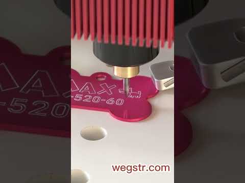 Engrave pet ID tag - cnc wegstr