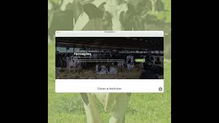 WEbrand Agency - Web development services promotional vídeo