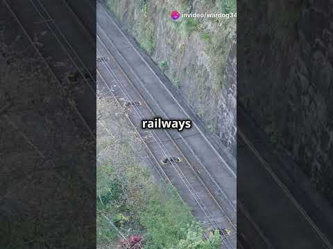 Standard Gauge vs Narrow Gauge: What's the Difference?