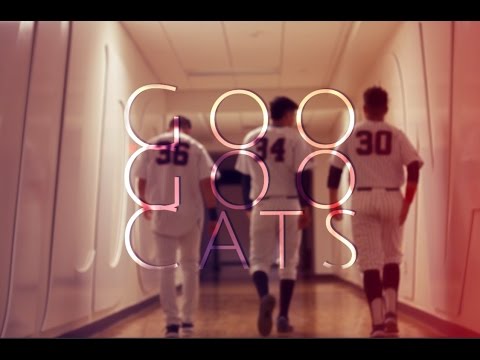 Goo Goo Cats - Slide (Arizona Baseball Cover)