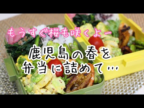 そらまめをたっぷり使って作る春弁当 #お弁当シリーズ