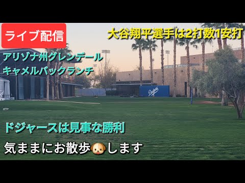 【ライブ配信】大谷翔平選手は2打数1安打⚾️ドジャースは見事な勝利⚾️気ままにお散歩🐶します💫Shinsuke Handyman がライブ配信中！