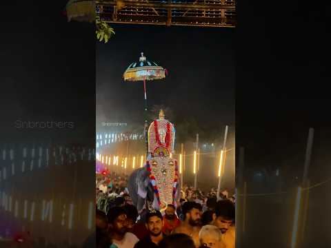 മേക്കോട്ട ഭഗവതി🔥