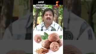 Jathikai | Dr Sivaraman | Kavi Online