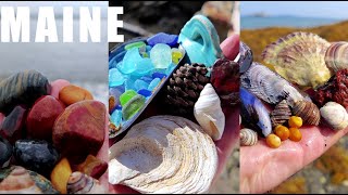 The Ultimate MAINE Beachcombing adventure(SHELLING, Seaglassing, Beach Stones)!