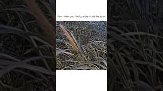 laree choote / #trending / # viralvideo /#lareechoote