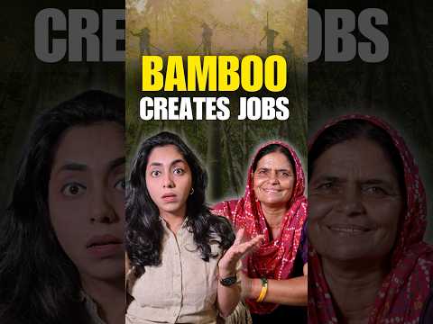 India’s Green Job Creator You Didn’t Know About! | Let’s Talk Bamboo #shorts