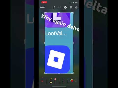 WHY AGAIN DELTA
