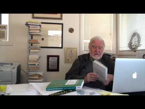 Csikszentmihalyi about Leadership: "Flow can be used everywhere"