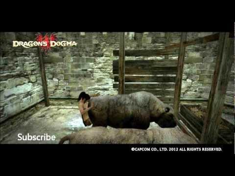 Dragons Dogma OST Heavens Star of Earth Theme