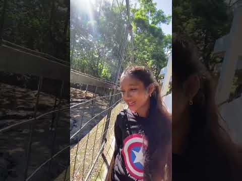 Nature trial at crocodile park 🐊#kriyastargirl