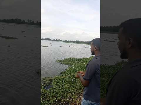 ഒരു കുട്ട നിറയെ മീ൯... #fishing