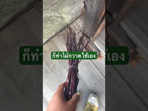 คนสวีเดนทำไม้กวาดไว้ใช้ แต่มันกวาดอะไรได้น้อ #ชีวิตในสวีเดน #วิถีชีวิตชนบท #คนไทยในต่างแดน #สวีเดน