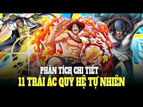 Phân Tích Chi Tiết 11 Trái Ác Quỷ Hệ Tự Nhiên Trong One Piece