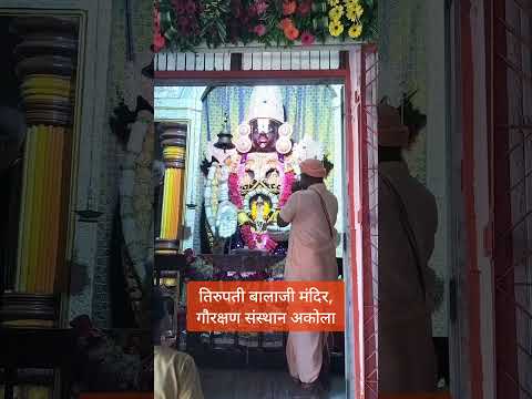 तिरुपती बालाजी मंदिर मे महाशंखनाद 🐚#tirupati #तिरुपती #tirupatibalaji #tirumala