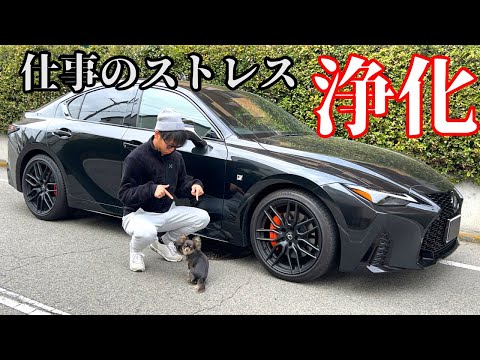 【愛犬＞仕事のストレス】安月給サラリーマンのささやかな休日