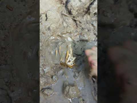 excavation in the river of the former mine #goldhunter