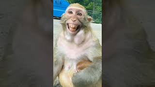 cute smile 😂 #cute #cutesmile  #birthdaysongstatus