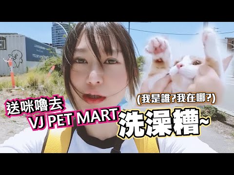 【澳洲雪梨VLOG】City週邊網紅寵物店 寵物美容洗澡精品樣樣齊全 ｜Yui ♡ feat.Vicky